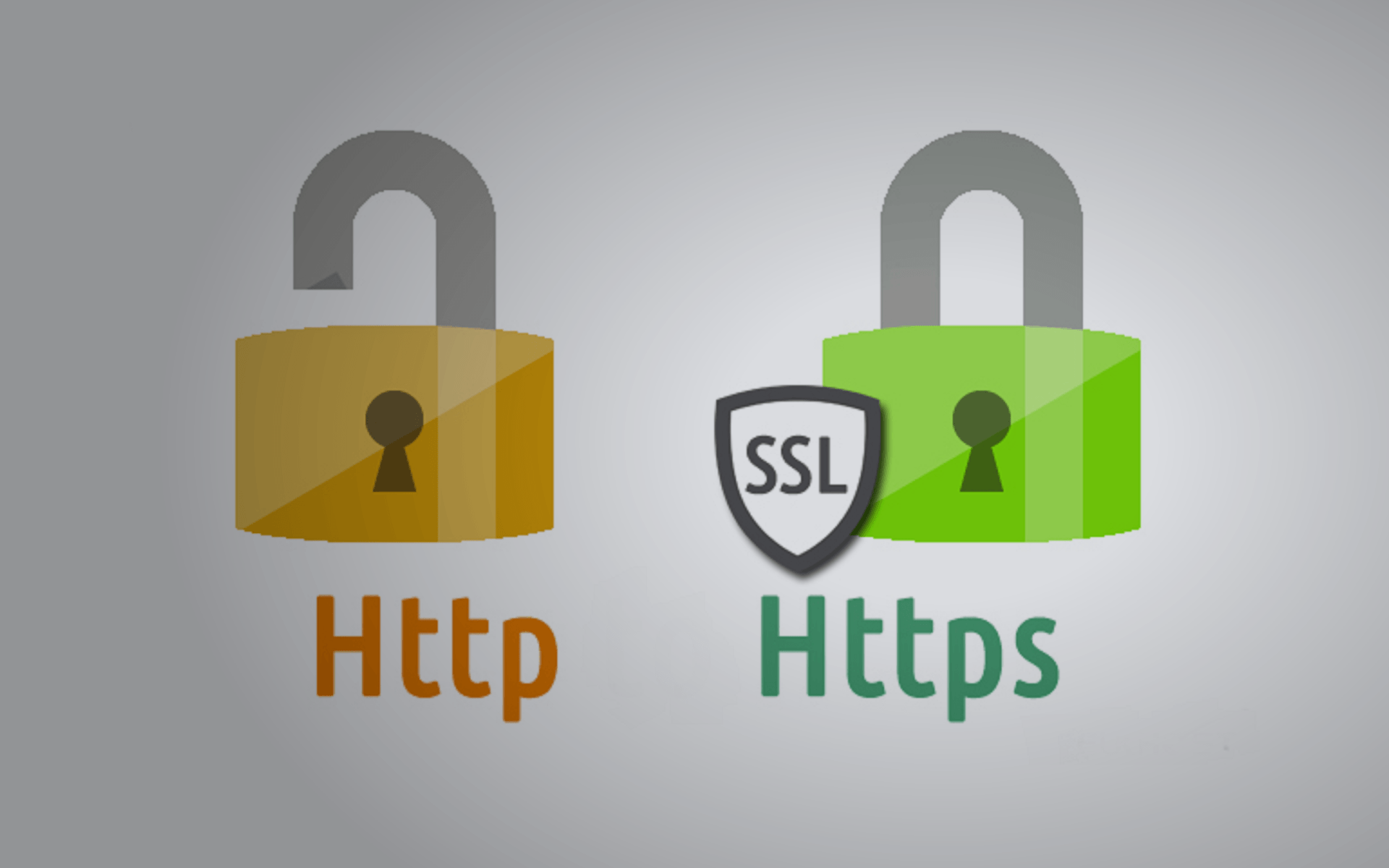 Certificados SSL: importancia en la seguridad de sitios web.